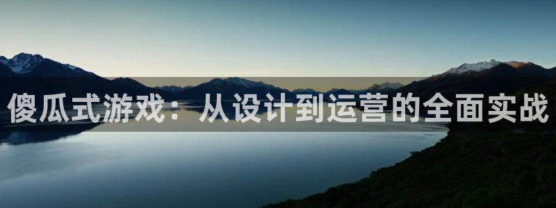 恩佐娱乐官方注册：傻瓜式游戏：从设计到运营的全面实战