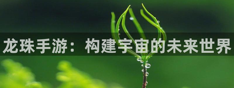 恩佐娱乐手机版最新功能介绍大全：龙珠手游：构建宇宙的未来世界