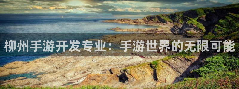 恩佐娱乐1：柳州手游开发专业：手游世界的无限可能