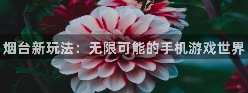 恩佐娱乐登陆：烟台新玩法：无限可能的手机游戏世界