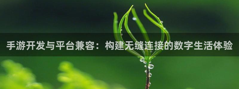 恩佐娱乐手机版最新功能介绍大全