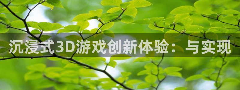 恩佐娱乐官方注册：沉浸式3D游戏创新体验：与实现