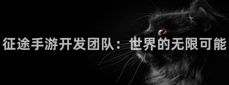 恩佐娱乐官方注册：征途手游开发团队：世界的无限可能