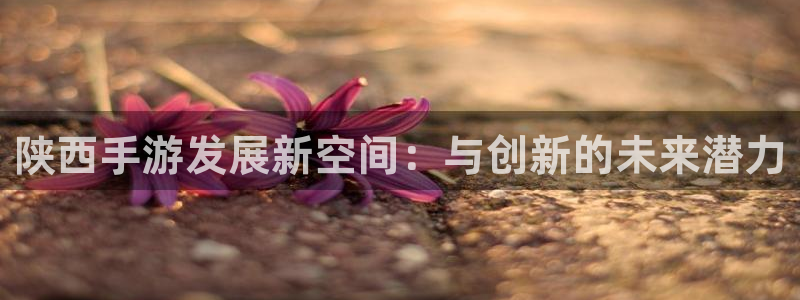 恩佐娱乐手机登录：陕西手游发展新空间：与创新的未来潜力