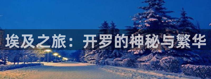 恩佐娱乐登陆