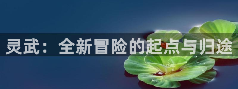 恩佐娱乐平台正规吗安全吗：灵武：全新冒险的起点与归途