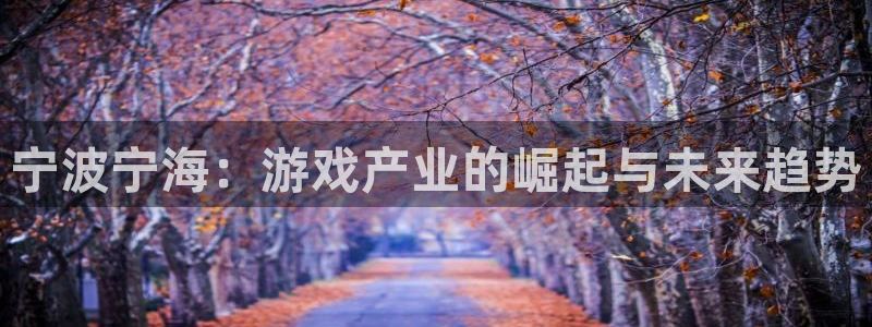 恩佐娱乐手机版最新功能介绍大全：宁波宁海：游戏产业的崛起与未