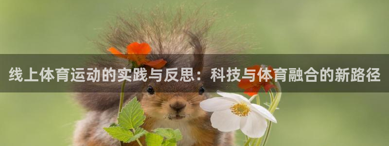 xc体育：线上体育运动的实践与反思：科技与体育融合的新路径