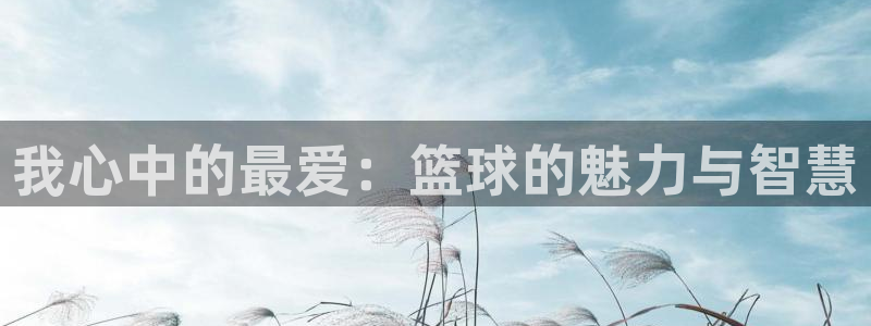 xc体育app官方网站：我心中的最爱：篮球的魅力与智慧