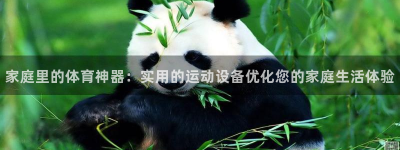xc体育app官方网站：家庭里的体育神器：实用的运动设备优化您的家庭生活体验