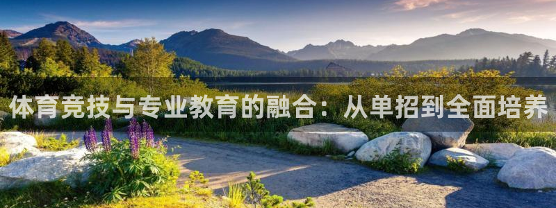 xc体育：体育竞技与专业教育的融合：从单招到全面培养