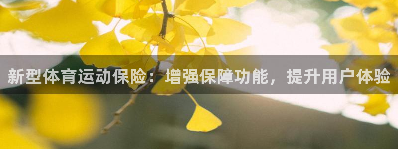 xc体育：新型体育运动保险：增强保障功能，提升用户体验