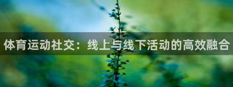 xc体育：体育运动社交：线上与线下活动的高效融合